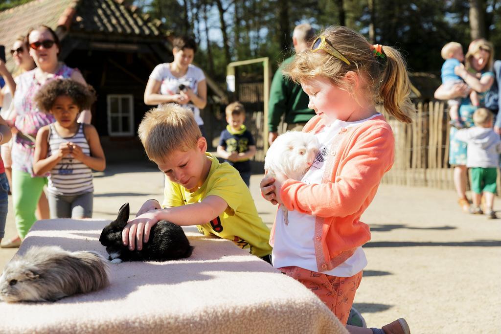 Hotel Center Parcs Erperheide à Peer Extérieur photo