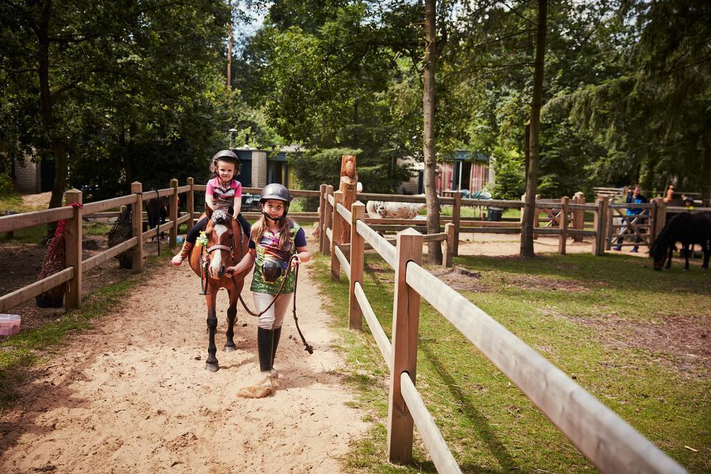 Hotel Center Parcs Erperheide à Peer Extérieur photo